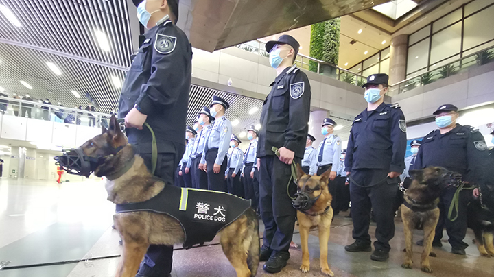 地铁里碰到小偷 遭遇抢座 落单遇险……警察蜀黍教你遇到突发怎么办